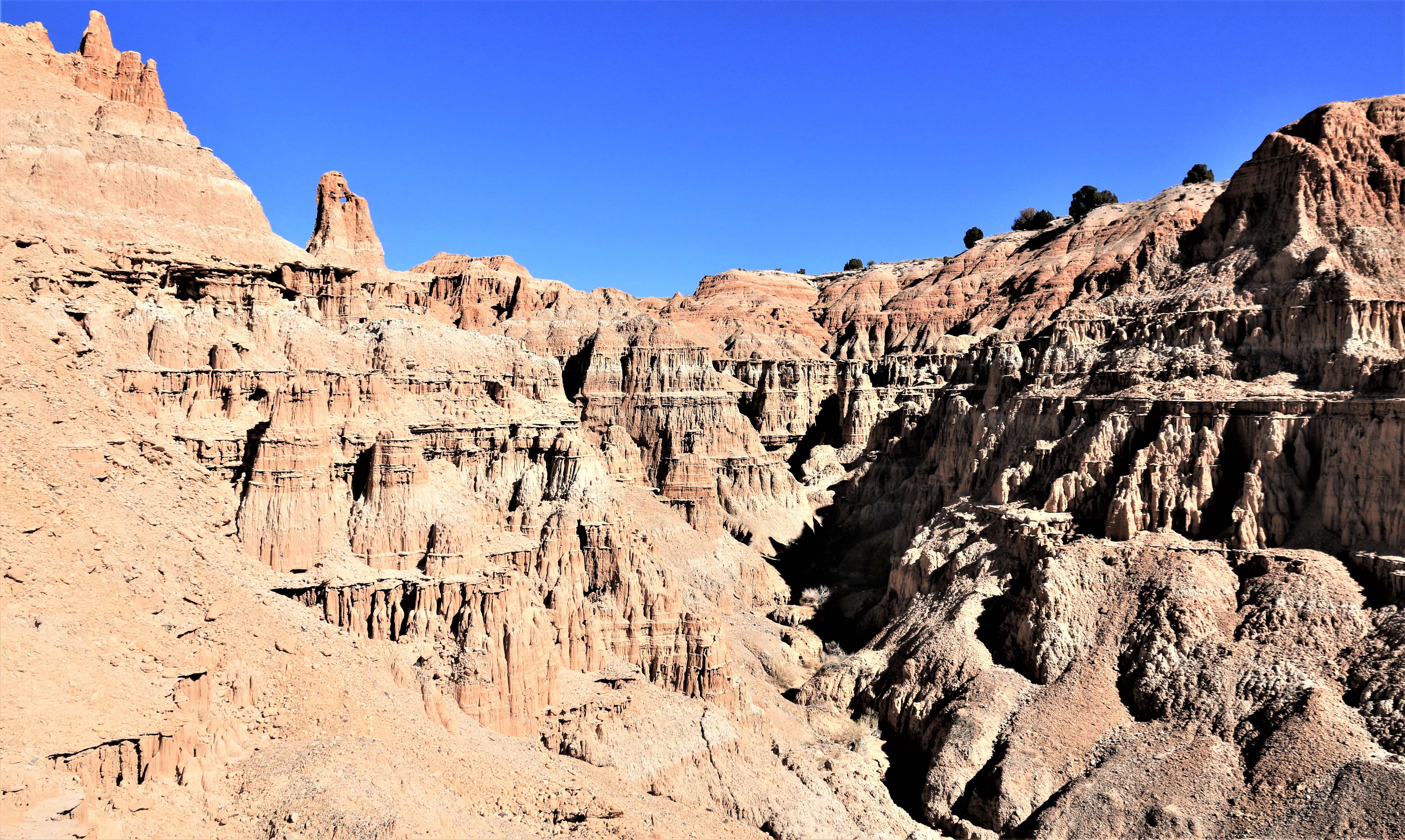 Nevada